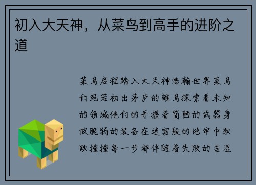 初入大天神，从菜鸟到高手的进阶之道